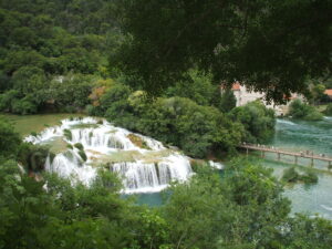 DSCF0379