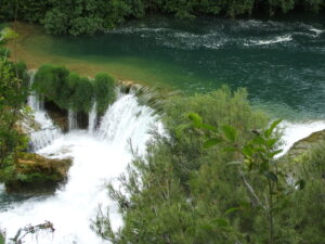 DSCF0395