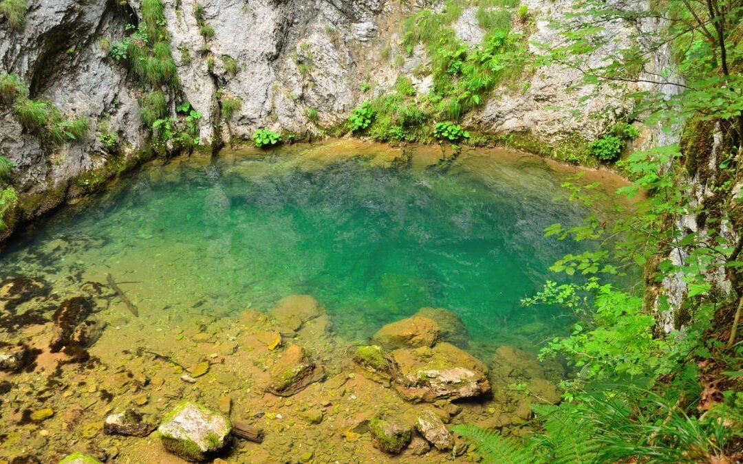 Izbucul Tauz, cea mai mare peșteră scufundată din România